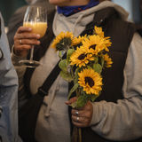 PHZH25-22 Oktb-0246p